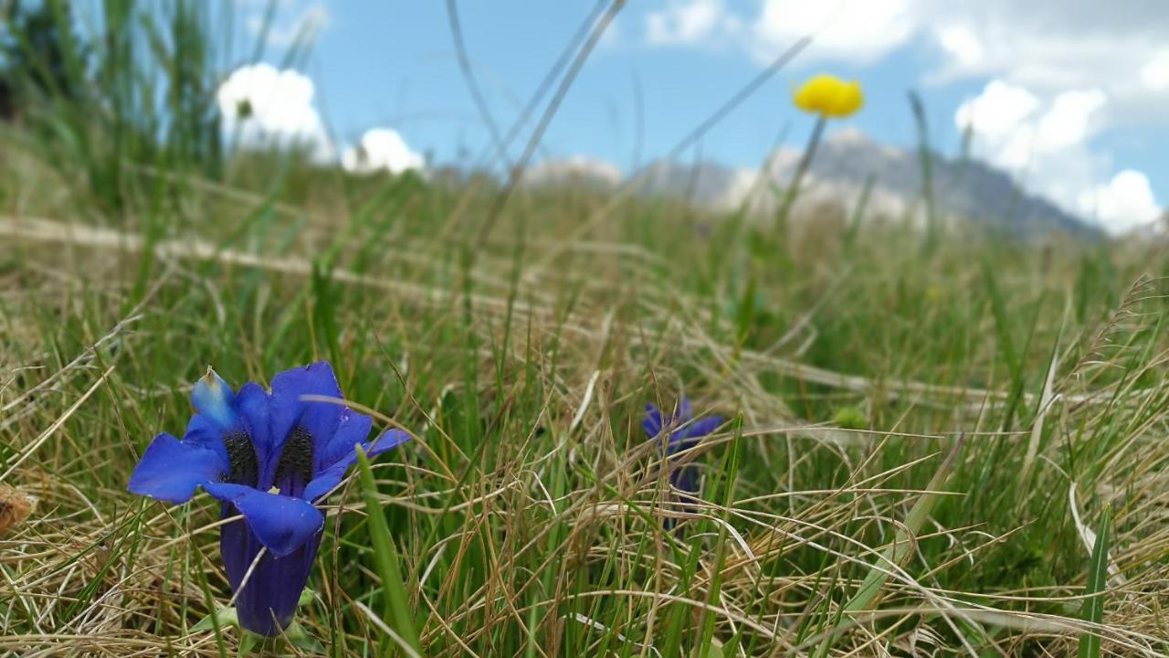 Gasthof Wacht Untertilliach Esterno foto